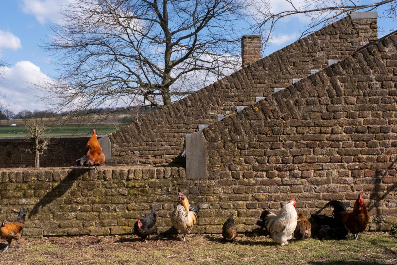 Meschermolen 7 Withuis Exterior foto
