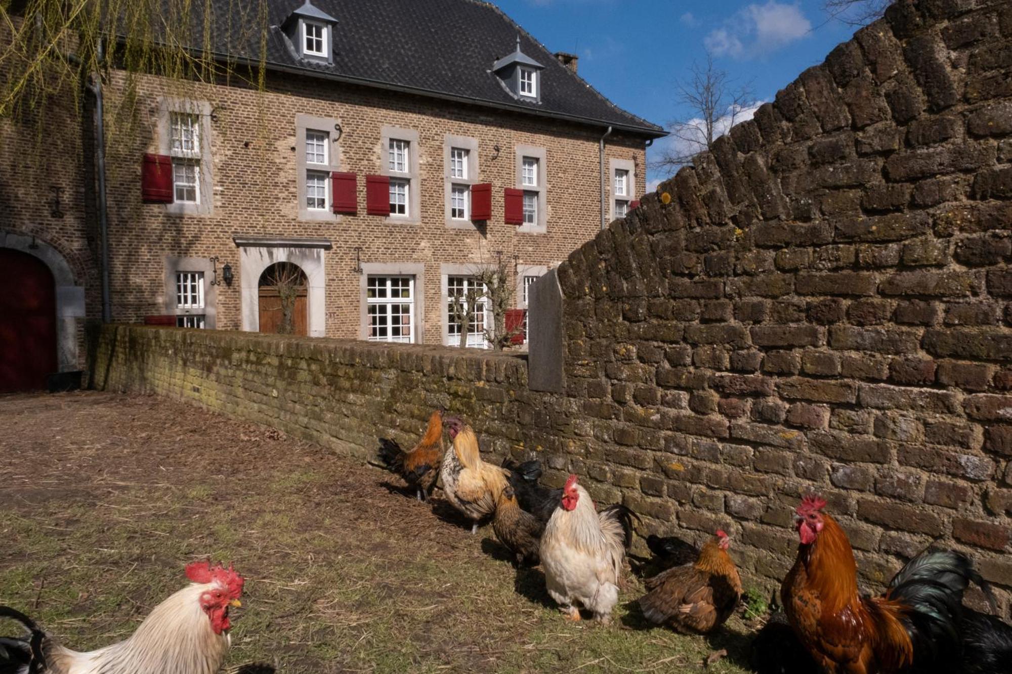Meschermolen 7 Withuis Exterior foto